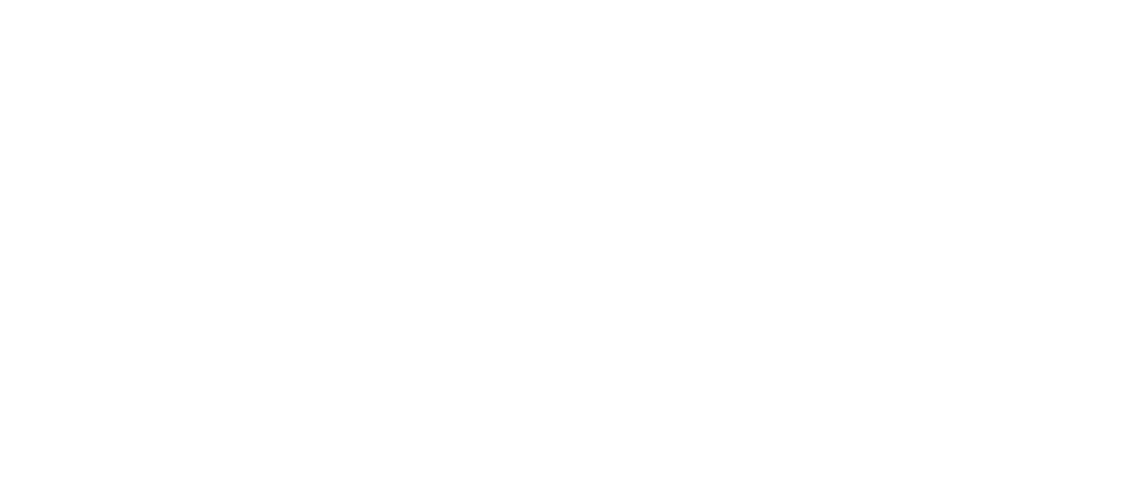 Demi Jongejan